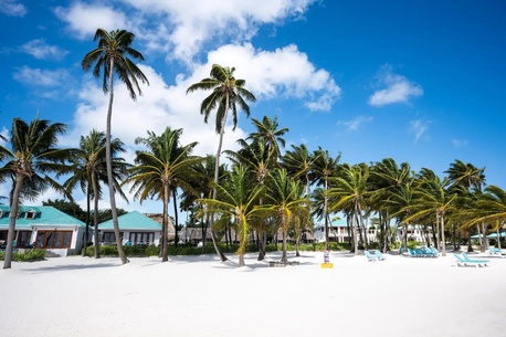 Belize City, Business, RE/MAX Belize Realty