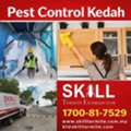 Top Rated Pest Experts Delivering Reliable Protection Across Kedah