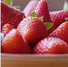 New York, Farm/Garden, Best Groundcover Plants To Improve Soil Health And Garden Appeal