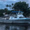 Deep Sea Fishing Gold Coast