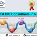 BIS Consultant In Noida