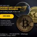 Crypto Trading Business Opportunity In The UAE