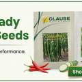 Buy Seeds, Fertilizers & Pesticides Online In India &ndash; Trusted Platform For Farmers