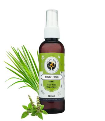 Gurgaon, Pet Sitting, Before The Itch Begins&hellip; You&rsquo;re Already Ready