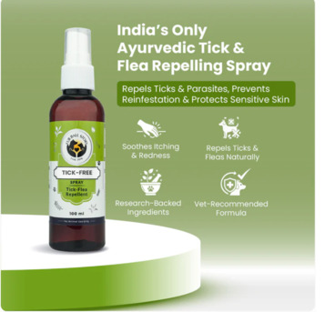 Gurgaon, Pet Sitting, Before The Itch Begins&hellip; You&rsquo;re Already Ready