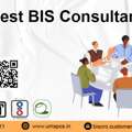 BIS Consultant In Sector 132 Noida