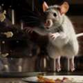 Rodent Extermination Company Dallas TX