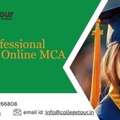 Lovely Professional University ONLINE Mca Placement