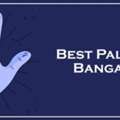 Best Palmist In Bangalore