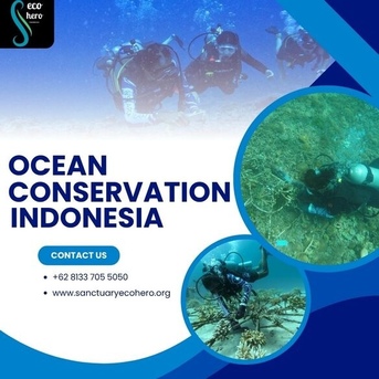 Jakarta, Training, Ocean Conservation Indonesia