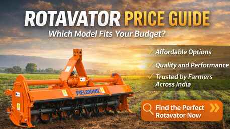 Mumbai, Farm/Garden, Turn Your Field Into A Productivity Hub