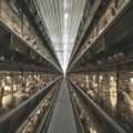 High-Quality Breeder Cages For Poultry | Gartech India