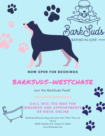 New York, Pet Sitting, Westchase Mobile Dog Grooming