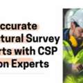 Get Accurate Structural Survey Reports With CSP London Experts