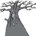Affordable Tree Removal Services West Jordan UT