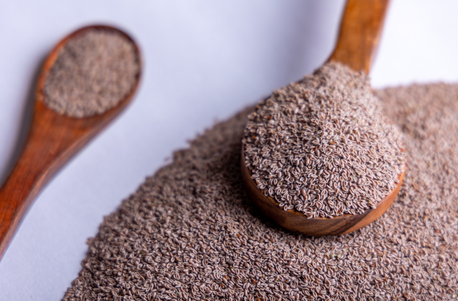 Mumbai, Wholesale Products, Farmvale Psyllium | Premium Psyllium Manufacturer & Exporter From India