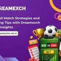 Football Match Strategies And Winning Tips With Dreamexch Login Insights