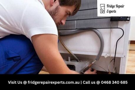 Sydney, Business, Cecil Hills Fridge Repairs | Call Repair Experts