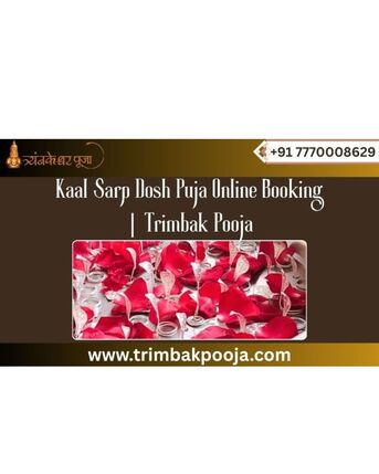 Mumbai, Business, Kaal Sarp Dosh Puja Online Booking | Trimbak Pooja
