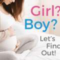 Get A Gender Reveal Test Kit At LABS TO GO