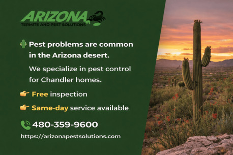 New York, Pest Control, Mesa Pest Control - Arizona Termite & Pest Solutions