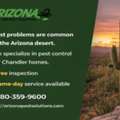 Mesa Pest Control - Arizona Termite & Pest Solutions