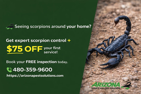 New York, Pest Control, Mesa Pest Control - Arizona Termite & Pest Solutions