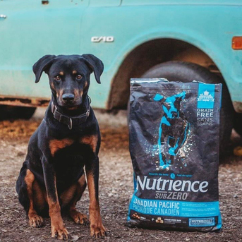 Mumbai, Pet Supplies, Salmon Dog Food For Healthy Skin