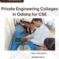 Private Engineering Colleges In Odisha For CSE