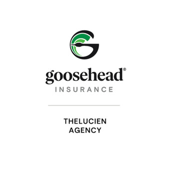 New York, Financial, Goosehead Insurance - Thelucien Agency