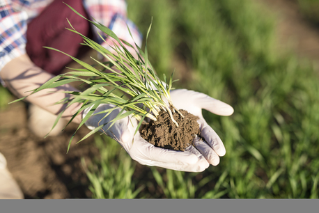 Chennai, Education, Master Agri-Genetics & Biotech: 2026 Admissions Open At Kumaraguru Agri College - India