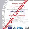 Empower Safety Culture With ISO 45001:2018 Certification