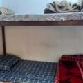 SAR 1600/month,  0 Sq. Meter,  Bed Space