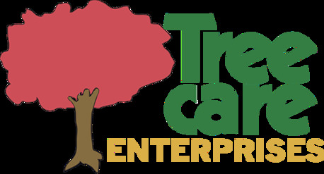 New York, Construction, Tree Care Enterprises