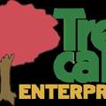 Tree Care Enterprises