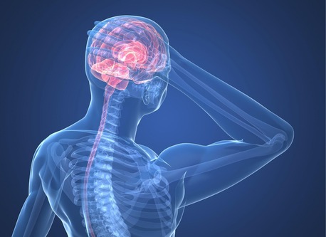 New York, Health, Davenport Spine And Rehabilitation Center