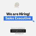 Hiring Sales Executive