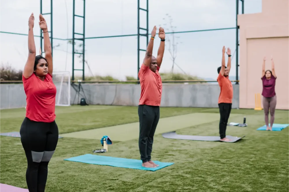 Chennai, Health, Best Online Yoga Classes For Beginners