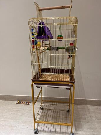 Riyadh, Pet Supplies, SAR 220,  Large Golden Bird Cage