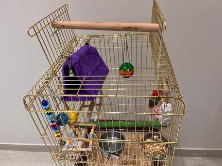Riyadh, Pet Supplies, SAR 220,  Large Golden Bird Cage