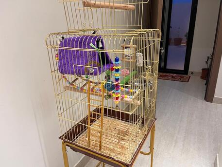 Riyadh, Pet Supplies, SAR 220,  Large Golden Bird Cage