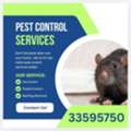 Pest Control Services