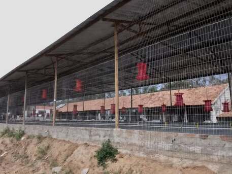 Chennai, Farm & Garden, INR 300,  Premium Quality Welded Wire Mesh