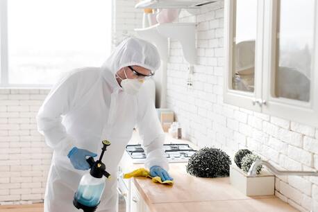 San Diego, Household, Residential Mold Remediation Services