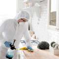 Residential Mold Remediation Services