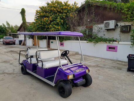 Manama, Automotive, Customcarts.org - Golf Cart Customisation Service & Accessory عربة جولف ✅