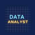 Data Analyst