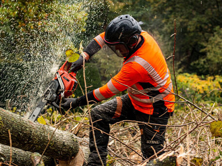 Sydney, Business, Tree Removal Services Gordon | Arborists NSW