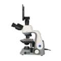 Full Field Of View Microscope