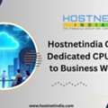 Hostnetindia Offering Dedicated CPU Server To Business Websites